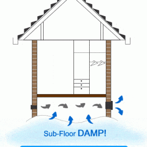 Sub floor damp